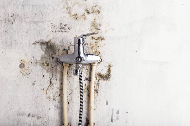 Best Water Damage Restoration  in Edneyville, NC