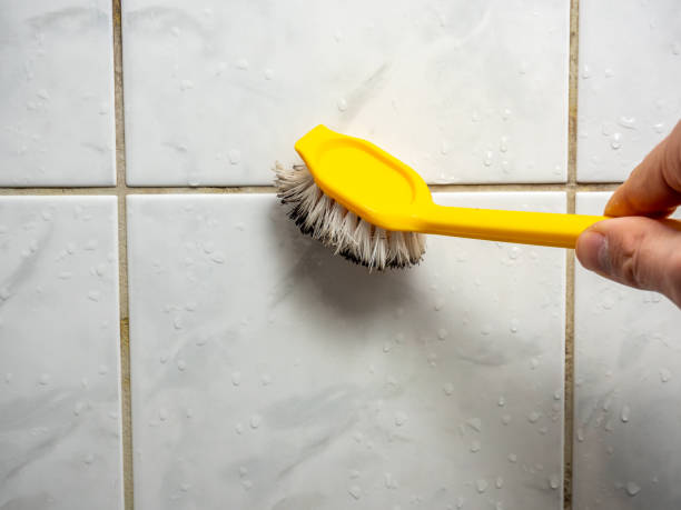 Best Same-Day Mold Removal  in Edneyville, NC