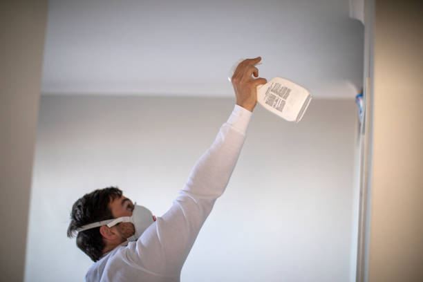 Best Mold Removal Near Me  in Edneyville, NC