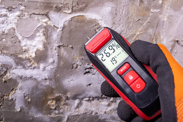 Best Professional Mold Removal  in Edneyville, NC