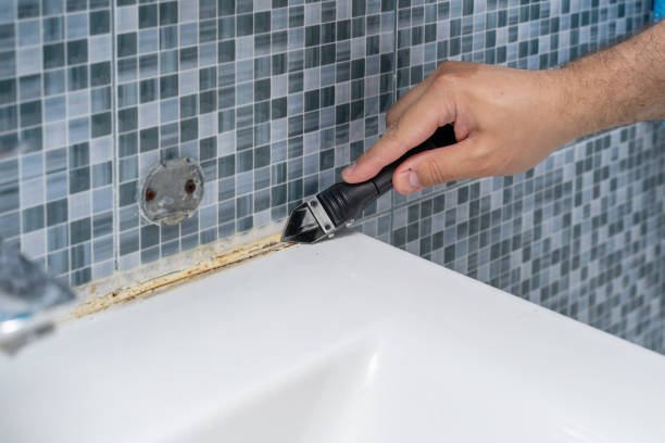 Edneyville, NC Mold Removal Company